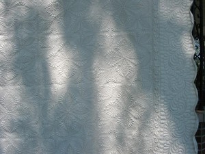 Whole Cloth Quilt